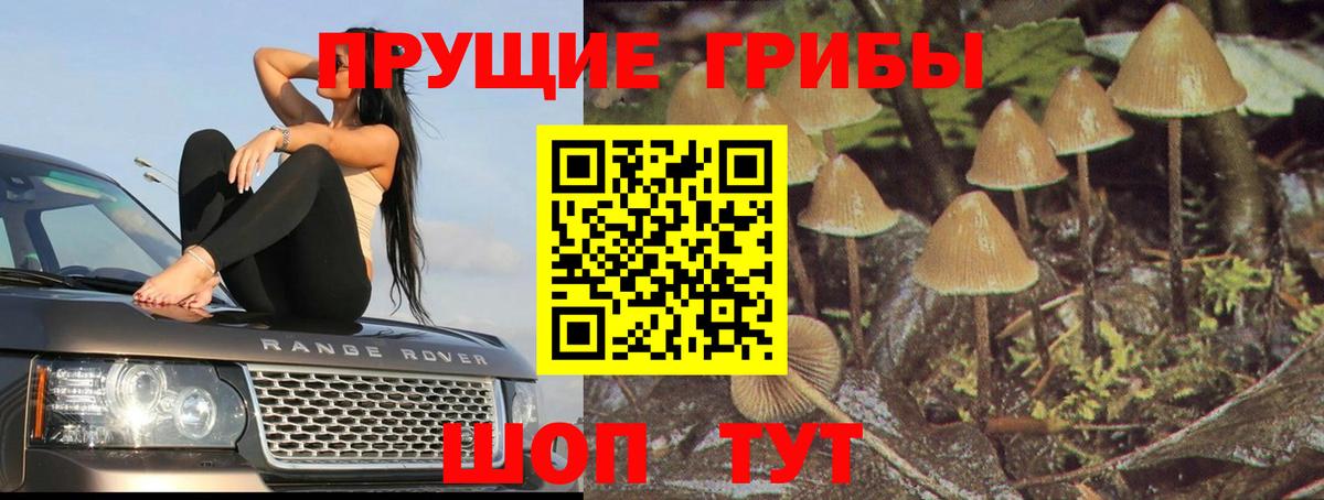 Ижевск  Псилоцибиновые грибы мицелий  Вход с VPN 